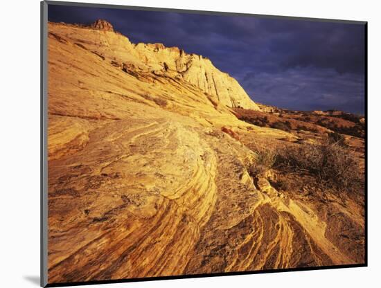 Sandstone, Grand Staircase-Escalante National Monument, Utah, USA-Charles Gurche-Mounted Photographic Print