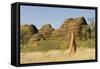 Sandstone Hills and Termite Mounds in the Domes Area of Purnululu National Park (Bungle Bungle)-Tony Waltham-Framed Stretched Canvas