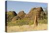 Sandstone Hills and Termite Mounds in the Domes Area of Purnululu National Park (Bungle Bungle)-Tony Waltham-Stretched Canvas