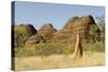 Sandstone Hills and Termite Mounds in the Domes Area of Purnululu National Park (Bungle Bungle)-Tony Waltham-Stretched Canvas