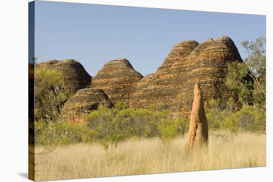 Sandstone Hills and Termite Mounds in the Domes Area of Purnululu National Park (Bungle Bungle)-Tony Waltham-Stretched Canvas