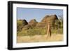 Sandstone Hills and Termite Mounds in the Domes Area of Purnululu National Park (Bungle Bungle)-Tony Waltham-Framed Photographic Print