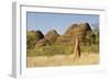 Sandstone Hills and Termite Mounds in the Domes Area of Purnululu National Park (Bungle Bungle)-Tony Waltham-Framed Photographic Print