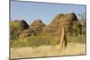 Sandstone Hills and Termite Mounds in the Domes Area of Purnululu National Park (Bungle Bungle)-Tony Waltham-Mounted Photographic Print