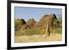 Sandstone Hills and Termite Mounds in the Domes Area of Purnululu National Park (Bungle Bungle)-Tony Waltham-Framed Photographic Print