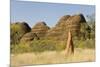 Sandstone Hills and Termite Mounds in the Domes Area of Purnululu National Park (Bungle Bungle)-Tony Waltham-Mounted Photographic Print