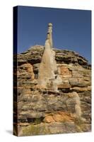 Sandstone Hills and Termite Mounds in the Domes Area of Purnululu National Park (Bungle Bungle)-Tony Waltham-Stretched Canvas