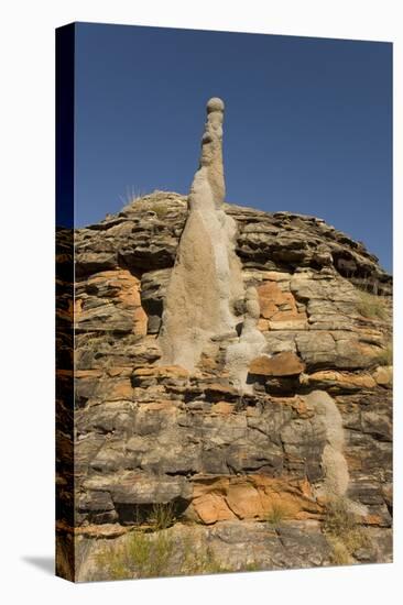 Sandstone Hills and Termite Mounds in the Domes Area of Purnululu National Park (Bungle Bungle)-Tony Waltham-Stretched Canvas