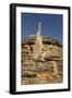 Sandstone Hills and Termite Mounds in the Domes Area of Purnululu National Park (Bungle Bungle)-Tony Waltham-Framed Photographic Print