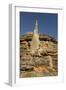 Sandstone Hills and Termite Mounds in the Domes Area of Purnululu National Park (Bungle Bungle)-Tony Waltham-Framed Photographic Print