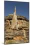 Sandstone Hills and Termite Mounds in the Domes Area of Purnululu National Park (Bungle Bungle)-Tony Waltham-Mounted Photographic Print