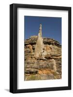 Sandstone Hills and Termite Mounds in the Domes Area of Purnululu National Park (Bungle Bungle)-Tony Waltham-Framed Photographic Print