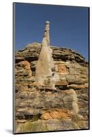 Sandstone Hills and Termite Mounds in the Domes Area of Purnululu National Park (Bungle Bungle)-Tony Waltham-Mounted Photographic Print