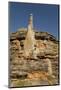 Sandstone Hills and Termite Mounds in the Domes Area of Purnululu National Park (Bungle Bungle)-Tony Waltham-Mounted Photographic Print