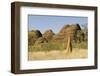 Sandstone Hills and Termite Mounds in the Domes Area of Purnululu National Park (Bungle Bungle)-Tony Waltham-Framed Photographic Print