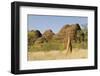 Sandstone Hills and Termite Mounds in the Domes Area of Purnululu National Park (Bungle Bungle)-Tony Waltham-Framed Photographic Print