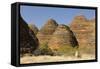 Sandstone Hills in the Domes Area of Purnululu National Park (Bungle Bungle)-Tony Waltham-Framed Stretched Canvas