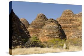 Sandstone Hills in the Domes Area of Purnululu National Park (Bungle Bungle)-Tony Waltham-Stretched Canvas