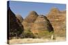 Sandstone Hills in the Domes Area of Purnululu National Park (Bungle Bungle)-Tony Waltham-Stretched Canvas