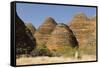 Sandstone Hills in the Domes Area of Purnululu National Park (Bungle Bungle)-Tony Waltham-Framed Stretched Canvas