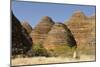 Sandstone Hills in the Domes Area of Purnululu National Park (Bungle Bungle)-Tony Waltham-Mounted Photographic Print