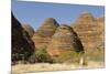 Sandstone Hills in the Domes Area of Purnululu National Park (Bungle Bungle)-Tony Waltham-Mounted Photographic Print