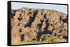 Sandstone Hills in the Domes Area of Purnululu National Park (Bungle Bungle)-Tony Waltham-Framed Stretched Canvas