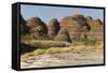 Sandstone Hills in the Domes Area of Purnululu National Park (Bungle Bungle)-Tony Waltham-Framed Stretched Canvas