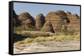 Sandstone Hills in the Domes Area of Purnululu National Park (Bungle Bungle)-Tony Waltham-Framed Stretched Canvas