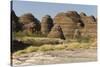 Sandstone Hills in the Domes Area of Purnululu National Park (Bungle Bungle)-Tony Waltham-Stretched Canvas