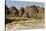 Sandstone Hills in the Domes Area of Purnululu National Park (Bungle Bungle)-Tony Waltham-Stretched Canvas