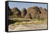 Sandstone Hills in the Domes Area of Purnululu National Park (Bungle Bungle)-Tony Waltham-Framed Stretched Canvas