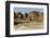 Sandstone Hills in the Domes Area of Purnululu National Park (Bungle Bungle)-Tony Waltham-Framed Photographic Print