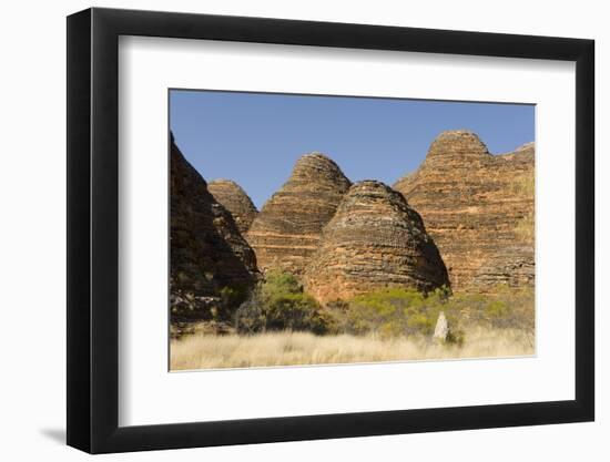 Sandstone Hills in the Domes Area of Purnululu National Park (Bungle Bungle)-Tony Waltham-Framed Photographic Print