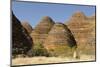 Sandstone Hills in the Domes Area of Purnululu National Park (Bungle Bungle)-Tony Waltham-Mounted Photographic Print