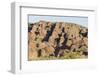 Sandstone Hills in the Domes Area of Purnululu National Park (Bungle Bungle)-Tony Waltham-Framed Photographic Print