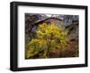 Sandstone in Soft Autumn Rain, Utah, USA-Jerry Ginsberg-Framed Photographic Print