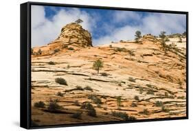 Sandstone Landscape-jimsphotos-Framed Stretched Canvas