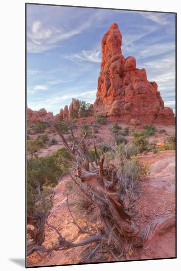 Sandstone Morning, Outside Moab-Vincent James-Mounted Photographic Print