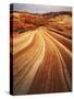 Sandstone on Colorado Plateau, Paria-Vermilion Cliffs Wilderness, Arizona-Charles Gurche-Stretched Canvas