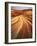 Sandstone on Colorado Plateau, Paria-Vermilion Cliffs Wilderness, Arizona-Charles Gurche-Framed Photographic Print