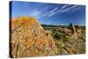 Sandstone on Prairie Reef, Rocky Mountains, Choteau, Montana, Usa-Chuck Haney-Stretched Canvas