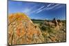 Sandstone on Prairie Reef, Rocky Mountains, Choteau, Montana, Usa-Chuck Haney-Mounted Photographic Print
