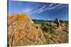 Sandstone on Prairie Reef, Rocky Mountains, Choteau, Montana, Usa-Chuck Haney-Stretched Canvas