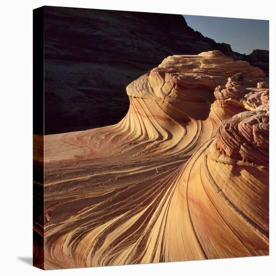 Sandstone Patterns in Coyote Buttes, Paria Wilderness and Vermillion Cliffs, Arizona, USA-Jerry Ginsberg-Stretched Canvas