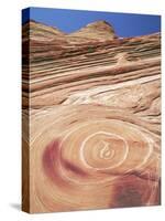 Sandstone Patterns in Rock Formations, Colorado Plateau, Utah, USA-David Welling-Stretched Canvas