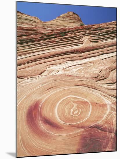 Sandstone Patterns in Rock Formations, Colorado Plateau, Utah, USA-David Welling-Mounted Photographic Print