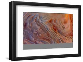 Sandstone patterns in the Vermillion Cliffs Wilderness, Arizona, USA-Chuck Haney-Framed Photographic Print