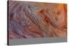 Sandstone patterns in the Vermillion Cliffs Wilderness, Arizona, USA-Chuck Haney-Stretched Canvas