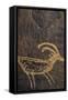 Sandstone, Petroglyphs, Utah, USA-Gerry Reynolds-Framed Stretched Canvas